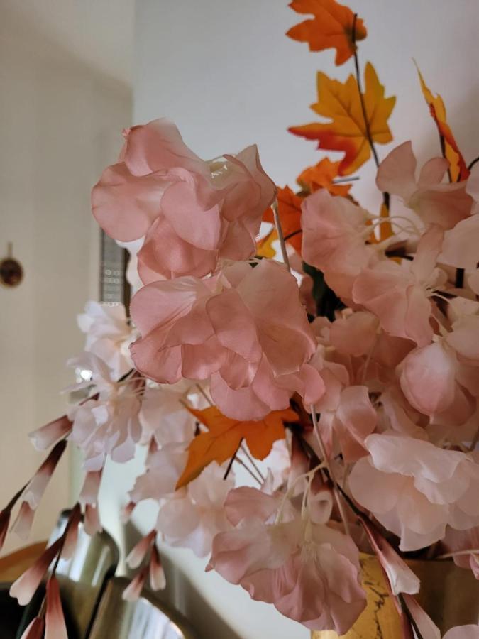 La Maison De Rose توري المظهر الخارجي الصورة
